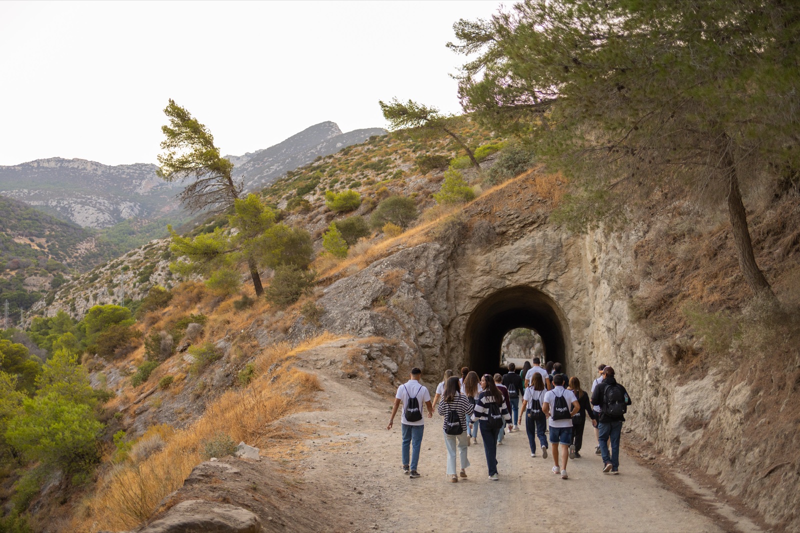 The Lagoom Living team on their way to a team-building day