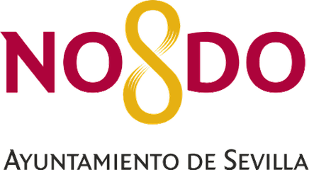 Seville City Council